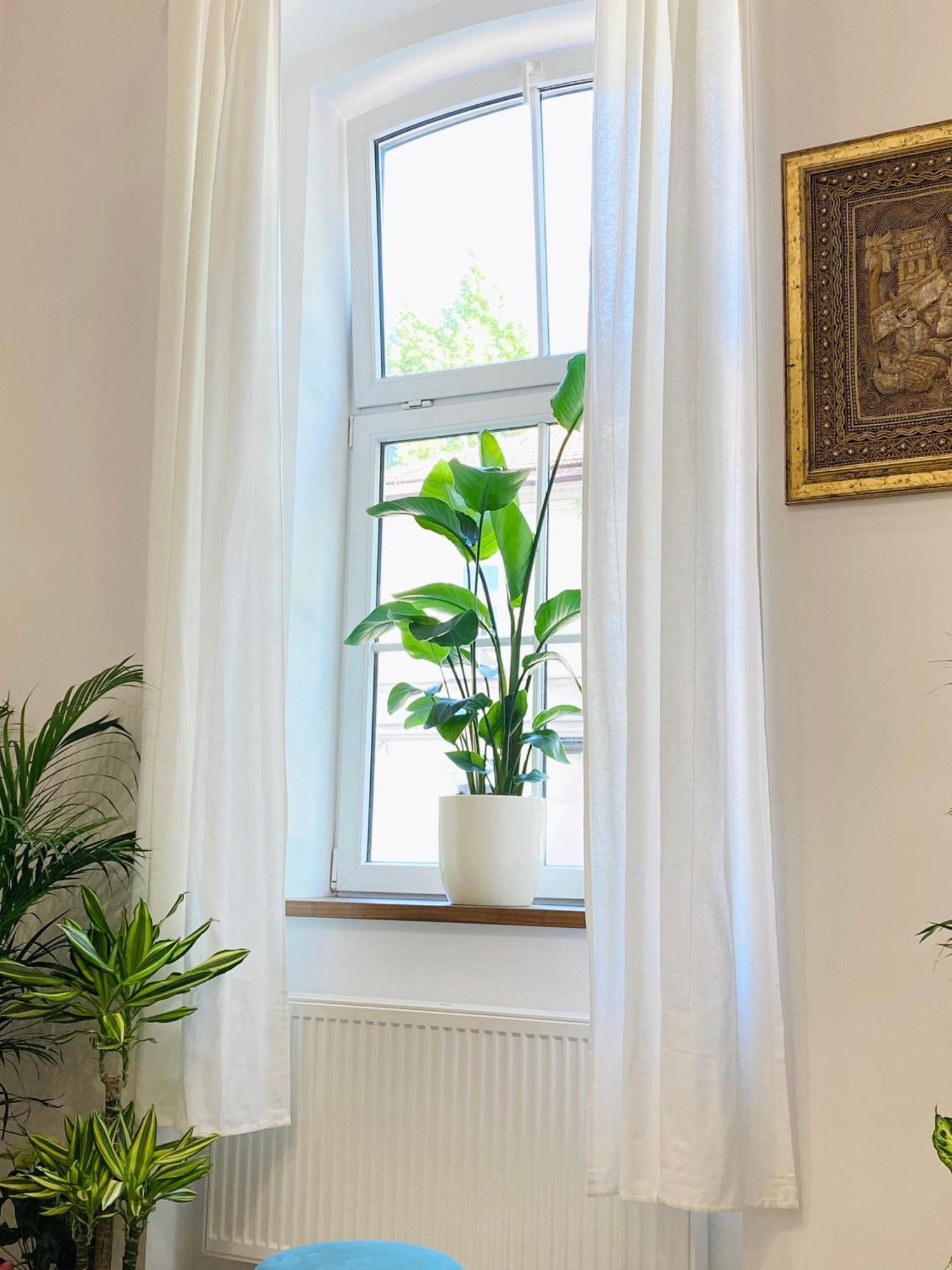 Jungle Loft - Central/Free Parking Любляна Экстерьер фото