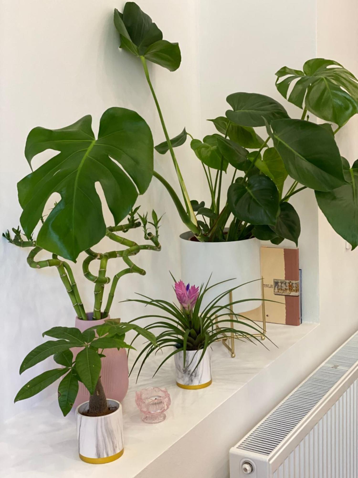 Jungle Loft - Central/Free Parking Любляна Экстерьер фото